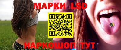 стаф Будённовск