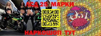 стаф Будённовск