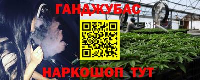 стаф Будённовск