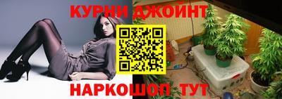 стаф Будённовск