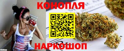 стаф Будённовск