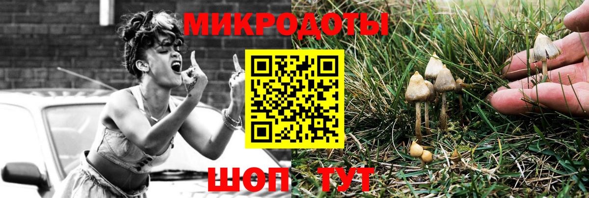 Псилоцибиновые грибы ЛСД Спасск-Дальний